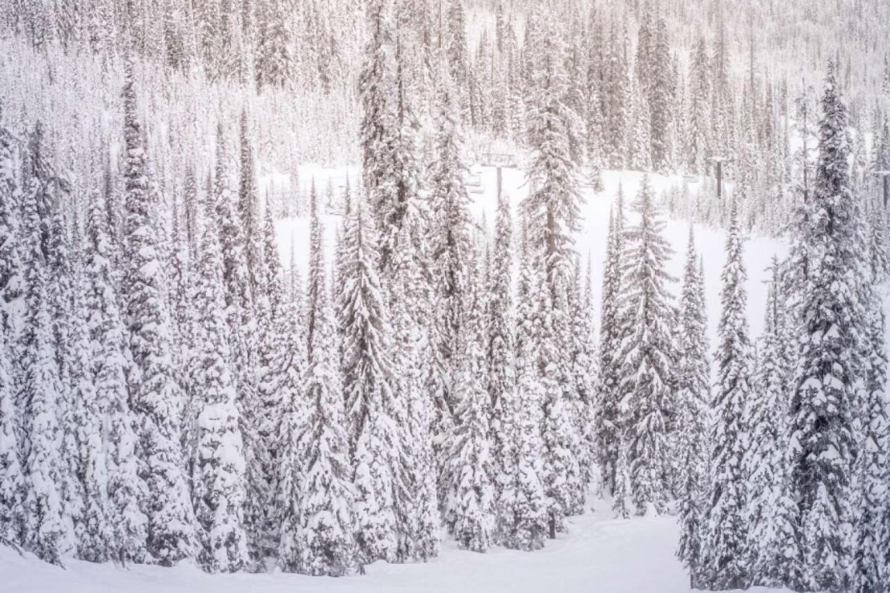 Shadowbrook 103 Villa Snowmass Village Bagian luar foto