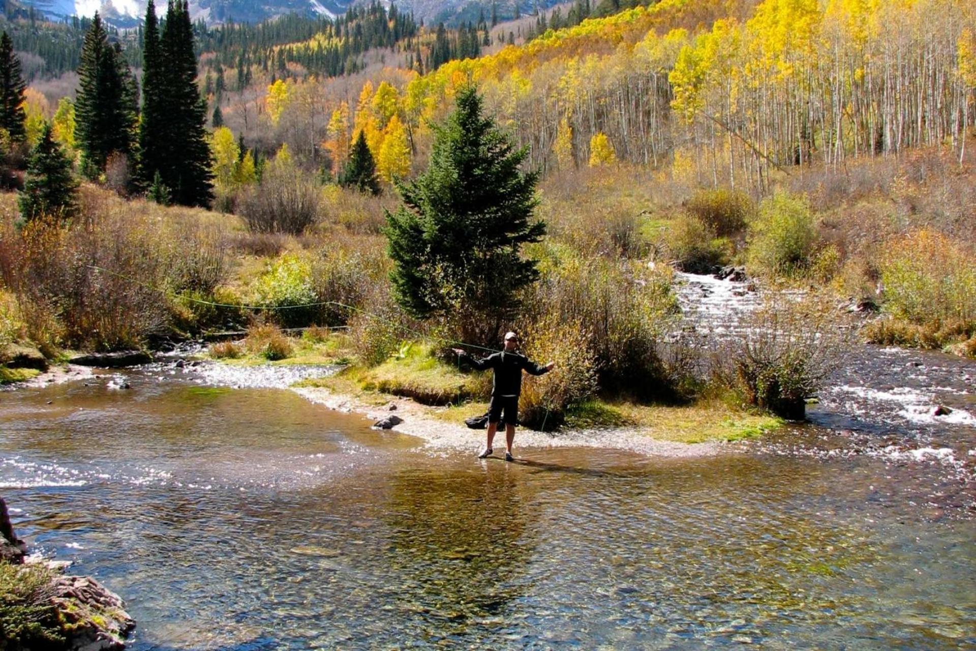 Shadowbrook 103 Villa Snowmass Village Bagian luar foto